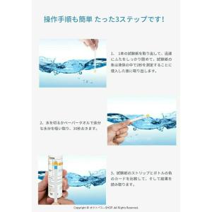 水質検査キット 飲料水テストキット ストリップ...の詳細画像3