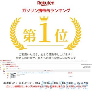 ガソリン携行缶 燃料携行缶 ステンレス製 10...の詳細画像1