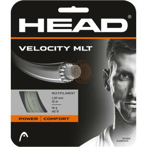 HEAD (ヘッド) 硬式テニス用 ガット VELOCITY MLT ナチュラル 1.25mm 281404 NT｜aprice