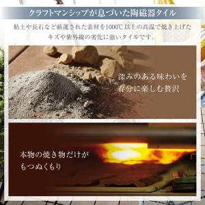 10個セット TOTO AP10MT02UFJ...の詳細画像4