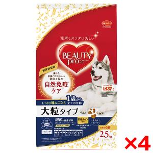 日本ペットフード ビューティープロ ドッグ おなかの健康 1歳から 2.3