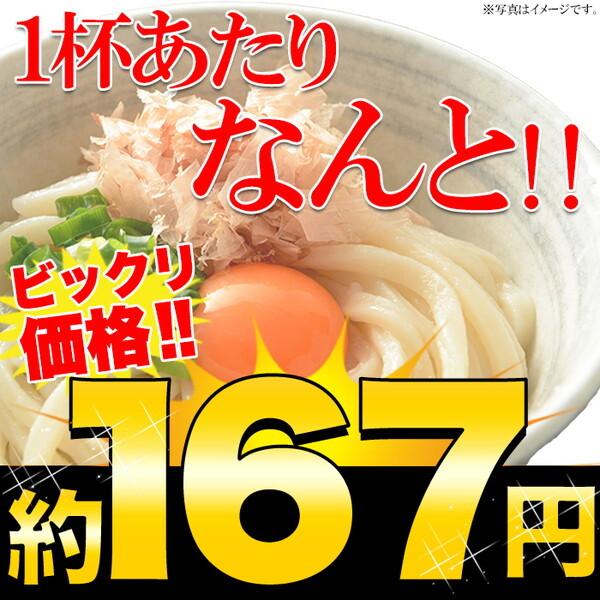 1000円ポッキリ 讃岐うどん 6食分 600g (300g×2袋) 鎌田醤油特性だし醤油6袋付 メ...