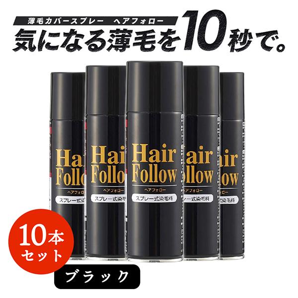 10個セット アイメディア 1009038 ヘアフォロー ブラック 150g