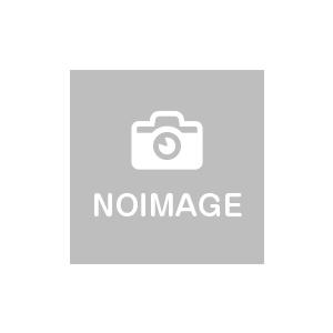 A&amp;A Vectorworks Service Select Architectモジュール(Vect...