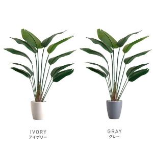 ホームテイスト SH-06-STR-M お手入...の詳細画像3