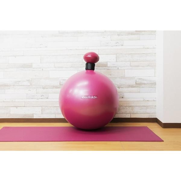 CATERPY BBL-002PLM Bee Balloon プラム バランスボール