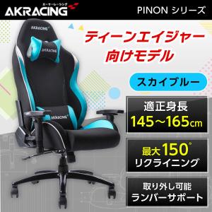AKRacing（エーケーレーシング） ゲーミングチェア PREMIUM/LOW-RAVEN