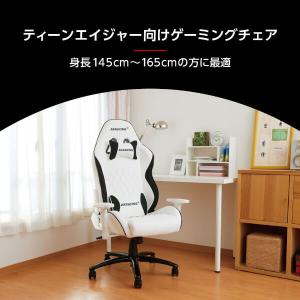 AKRacing ゲーミングチェア デスクチェ...の詳細画像1