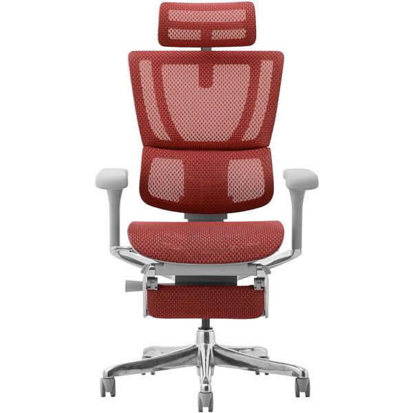 関家具 459650 Ergohuman FIT2-LPL-DR-GF-RD グレーフレーム×レッド...