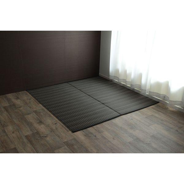 イケヒコ・コーポレーション 1090031061202 洗える PPカーペット バルカンブラウン 江...