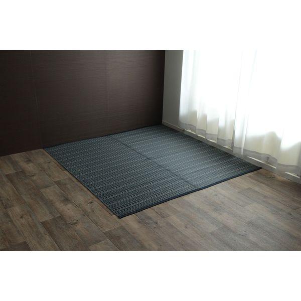 イケヒコ・コーポレーション 1090031191902 洗える PPカーペット バルカンネイビー 本...