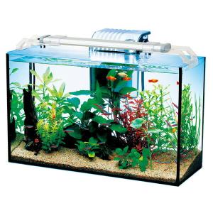 テトラ 水槽セット リビングキューブ ｌｃ ２０ フィルター ｌｅｄ付き ２５ｃｍ水槽 お一人様５点限り 沖縄別途送料 チャーム Charm Paypayモール店 通販 Paypayモール