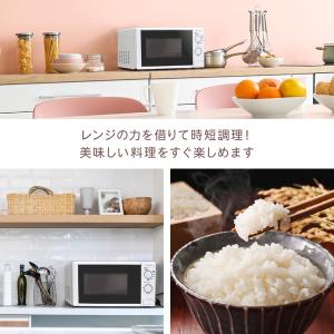 期間限定ポイント5倍! 電子レンジ 単機能 1...の詳細画像3