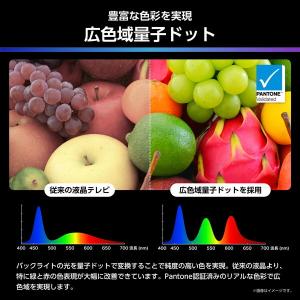 テレビ 55型 液晶テレビ ハイセンス 55イ...の詳細画像5