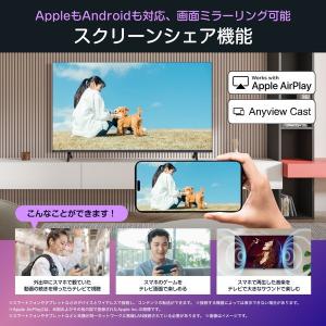 テレビ 50型 液晶テレビ ハイセンス 50イ...の詳細画像2