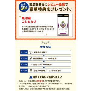 精米機 家庭用 1〜5合 匠味米 MB-RC5...の詳細画像1