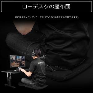 Bauhutte バウヒュッテ 座布団 BC-...の詳細画像4