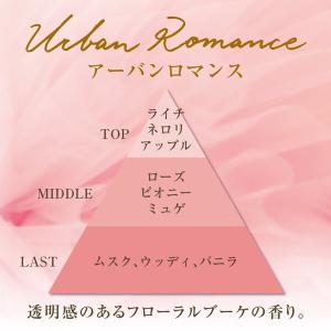 エステー お部屋の消臭力 Premium Ar...の詳細画像2
