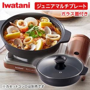 イシガキ産業 ジュニアマルチ鍋 ガラス蓋付き F-1504 ガラス蓋付アルミ