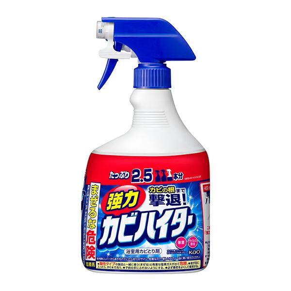 お風呂洗剤 お風呂掃除 強力 カビハイター 特大 1000ml お風呂用カビ取り剤 浴室用 スプレー...