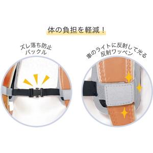 クツワ HZ019 フィットベルトの詳細画像2