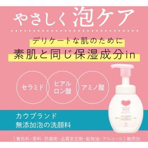 牛乳石鹸 カウブランド 無添加泡の洗顔料 詰替...の詳細画像2