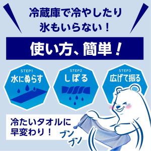 アイスノン 極冷えタオル 1枚 冷却タオル 冷...の詳細画像4