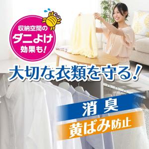 白元アース ドライ&ドライUP 洋服ダンス用 ...の詳細画像3