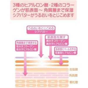 ピジョン ボディマッサージクリーム 250gの詳細画像2