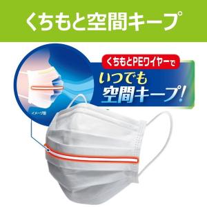 ピップ プリーツガード 呼吸快適マスク 30枚...の詳細画像3