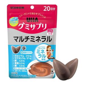 UHA味覚糖 UHAグミサプリ マルチミネラル20日分の商品画像