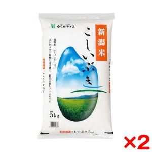 令和3年度産 新潟県産 こしいぶき 10kg メーカー直送