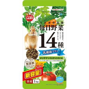 マルカン 毎日野菜14種 乳酸菌プラス メンテナンス