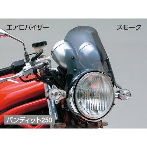 DAYTONA（デイトナ） D21622 スクリーン レブル1100/DCT(21) ブラスト