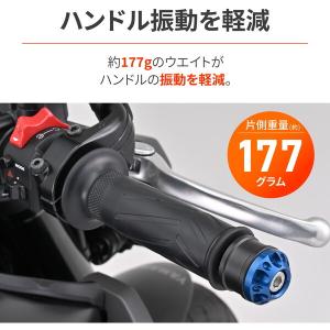 D49246 デイトナ(Daytona) アル...の詳細画像1
