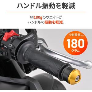D49250 デイトナ(Daytona) アル...の詳細画像1