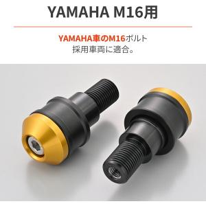 D49250 デイトナ(Daytona) アル...の詳細画像2