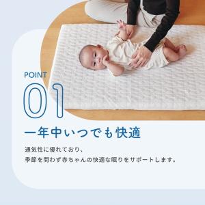 KATOJI 洗えるぐうぐうねんね ミニ 05...の詳細画像4