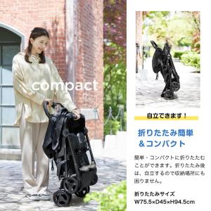 ジョイー Joie ベビーカー エアツイン シ...の詳細画像4