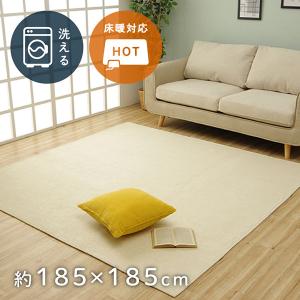 イケヒコ・コーポレーション 1280700131303 ラグ 長方形 手洗い ループ