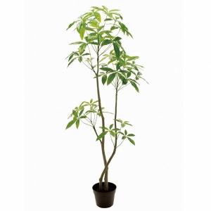 東京堂 Fg ａｘ パキラ ６ｆ ｇｒｅｅｎ フェイクグリーン 人工観葉植物 Fg Ficインテリアストア 通販 Yahoo ショッピング