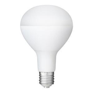 IRIS OHYAMA（アイリスオーヤマ） LDR44D-H-E39-E2 LED投光器用交換