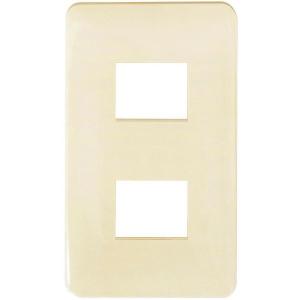 オーム電機 RK-5002-Z 埋込プレート 2口用