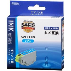 エプソン（EPSON） EPSON IB07KB ブラック 純正インクカートリッジ (大