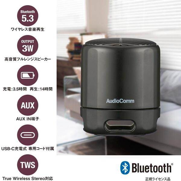 オーム電機 ASP-W125N-K ブラック ワイヤレスラウンドスピーカー