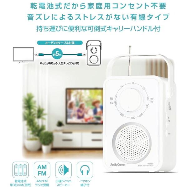 オーム電機 RAD-T280N 耳もとスピーカーラジオ