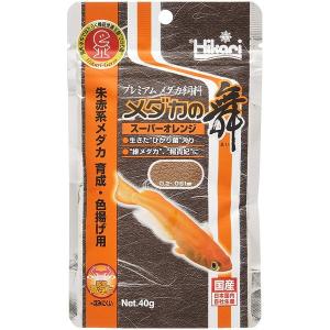 キョーリン ザリガニのエサ にごり・ニオイ対策用40g 爬虫・両生類