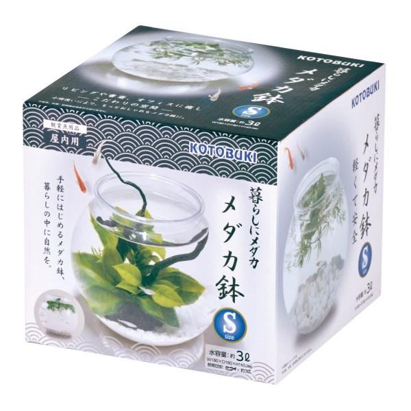 コトブキ工芸 暮らしにメダカ メダカ鉢 S メーカー直送