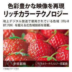 テレビ 65型 液晶テレビ シャープ アクオス...の詳細画像4