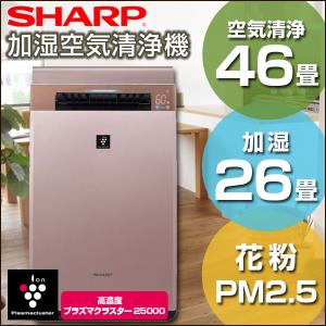 シャープ SHARP プラズマクラスター 加湿空気清浄 KI-GX100-N ゴールド系 加湿空気清浄機 （空気清浄46畳/加湿26畳まで）